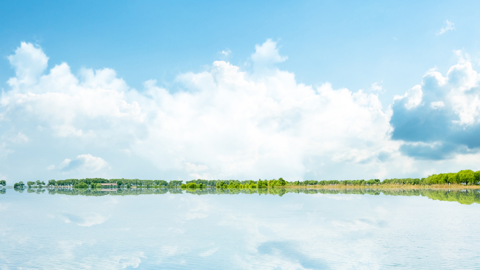 小型木屑顆粒機